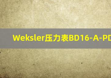 Weksler压力表BD16-A-PD-6-L-B