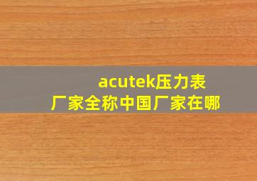 acutek压力表厂家全称中国厂家在哪