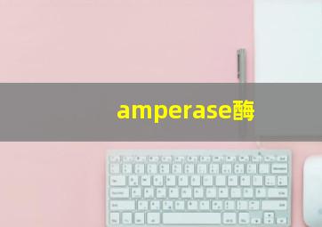 amperase酶