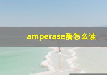 amperase酶怎么读