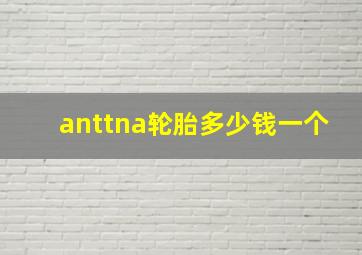 anttna轮胎多少钱一个