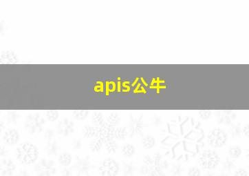 apis公牛