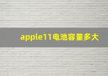 apple11电池容量多大