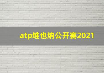 atp维也纳公开赛2021