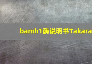 bamh1酶说明书Takara