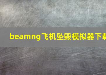 beamng飞机坠毁模拟器下载