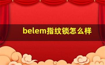 belem指纹锁怎么样