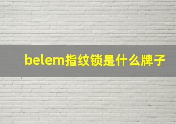 belem指纹锁是什么牌子