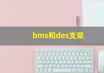 bms和des支架