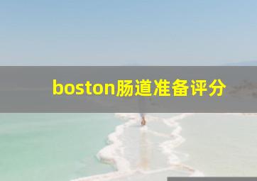 boston肠道准备评分