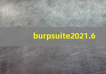 burpsuite2021.6