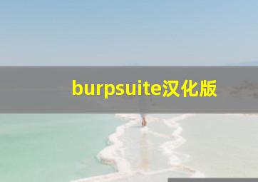 burpsuite汉化版