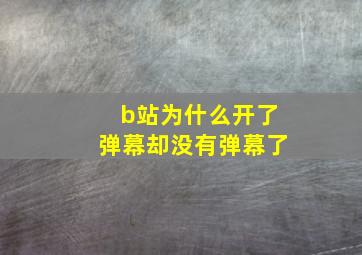 b站为什么开了弹幕却没有弹幕了