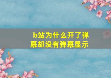 b站为什么开了弹幕却没有弹幕显示