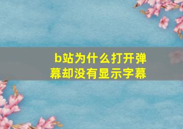 b站为什么打开弹幕却没有显示字幕