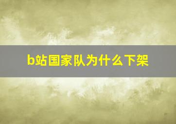 b站国家队为什么下架