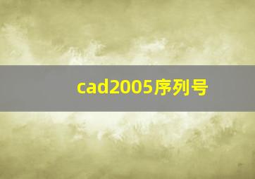 cad2005序列号