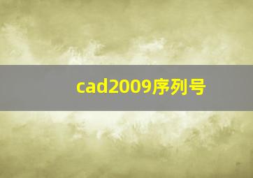 cad2009序列号