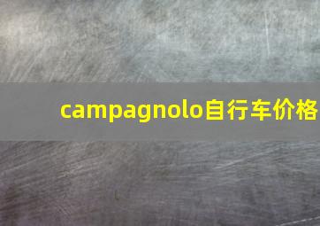 campagnolo自行车价格