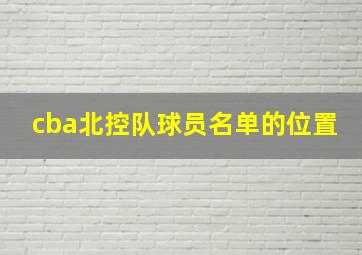 cba北控队球员名单的位置