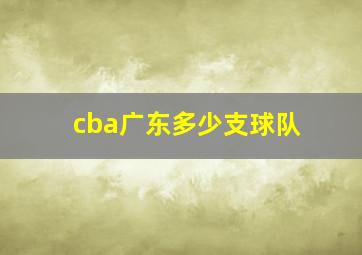 cba广东多少支球队