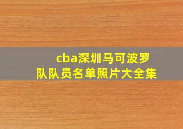 cba深圳马可波罗队队员名单照片大全集