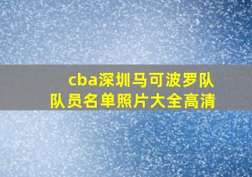 cba深圳马可波罗队队员名单照片大全高清