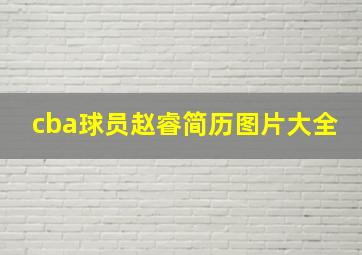 cba球员赵睿简历图片大全