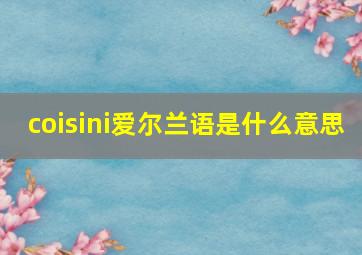 coisini爱尔兰语是什么意思