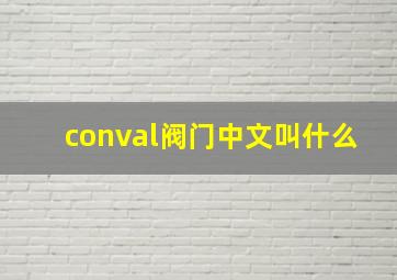 conval阀门中文叫什么