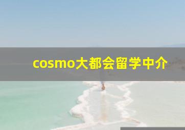 cosmo大都会留学中介