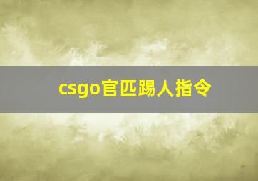 csgo官匹踢人指令