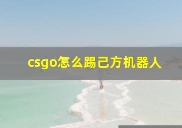 csgo怎么踢己方机器人