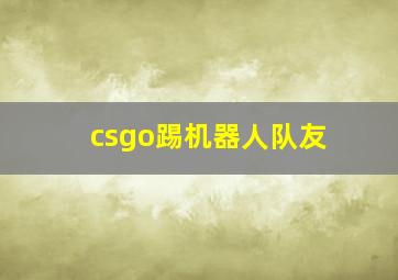 csgo踢机器人队友