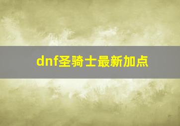 dnf圣骑士最新加点