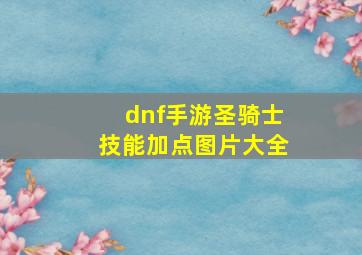 dnf手游圣骑士技能加点图片大全