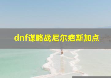 dnf谋略战尼尔疤斯加点