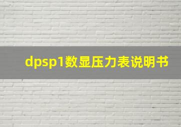 dpsp1数显压力表说明书