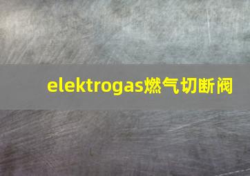 elektrogas燃气切断阀