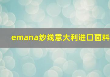 emana纱线意大利进口面料