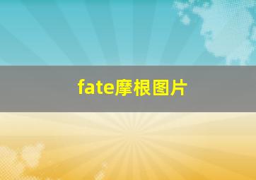 fate摩根图片