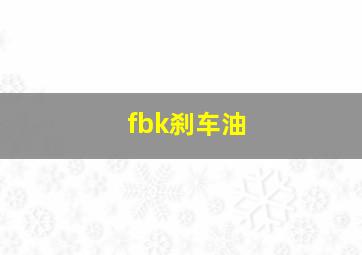 fbk刹车油