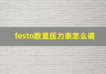 festo数显压力表怎么调