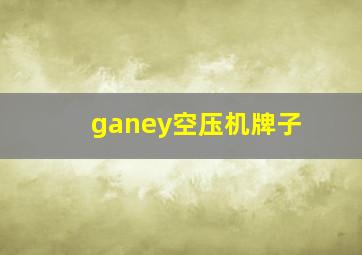 ganey空压机牌子