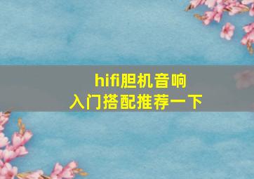 hifi胆机音响入门搭配推荐一下