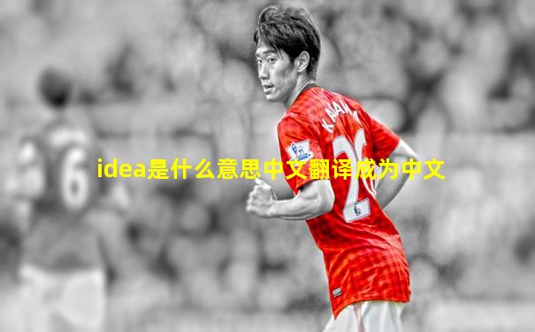 idea是什么意思中文翻译成为中文