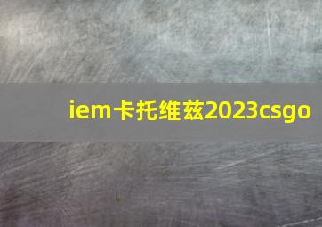 iem卡托维兹2023csgo