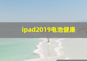 ipad2019电池健康