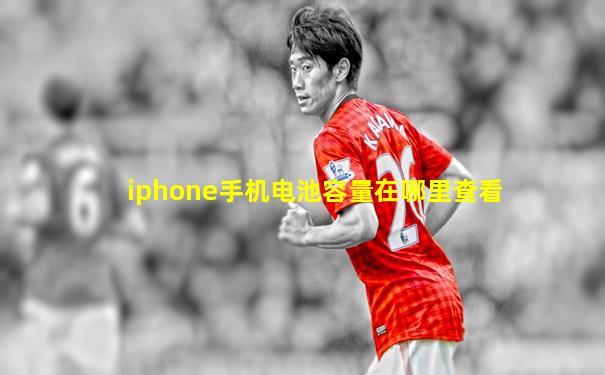 iphone手机电池容量在哪里查看