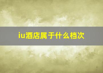 iu酒店属于什么档次